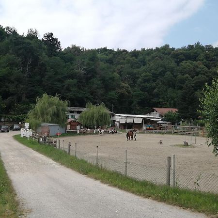 Locazione Turistica Varaita-Brossasco Extérieur photo